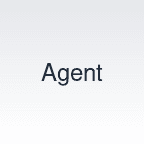 Demo Agent